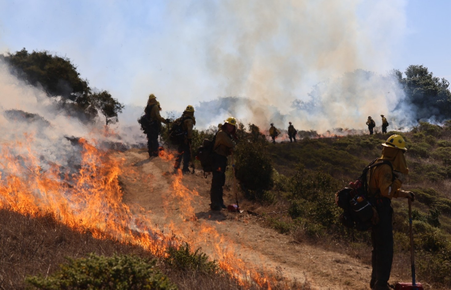 Angel Island Burn